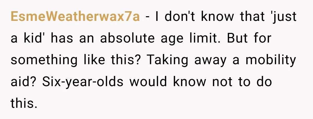 Woman Tells Sister “13 Isn’t Just A Kid” After Nephew Breaks Injured Girl’s Crutches Generated by Aubtu.biz