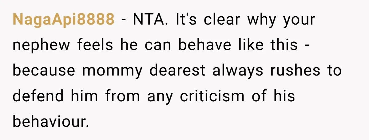 Woman Tells Sister “13 Isn’t Just A Kid” After Nephew Breaks Injured Girl’s Crutches Generated by Aubtu.biz