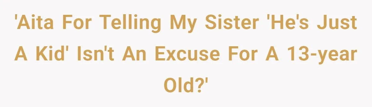 Woman Tells Sister “13 Isn’t Just A Kid” After Nephew Breaks Injured Girl’s Crutches Generated by Aubtu.biz