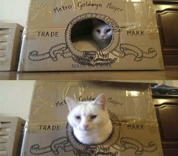 46 Hilariously Weird Photos That Make You Go "Hmmm"