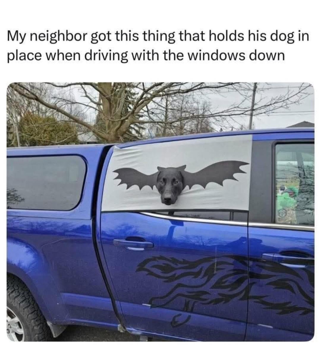 40 Funny And Weird Photos That’ll Make You Say “What Did I Just See?”