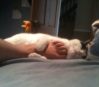 40 Funny And Weird Photos That’ll Make You Say “What Did I Just See?”