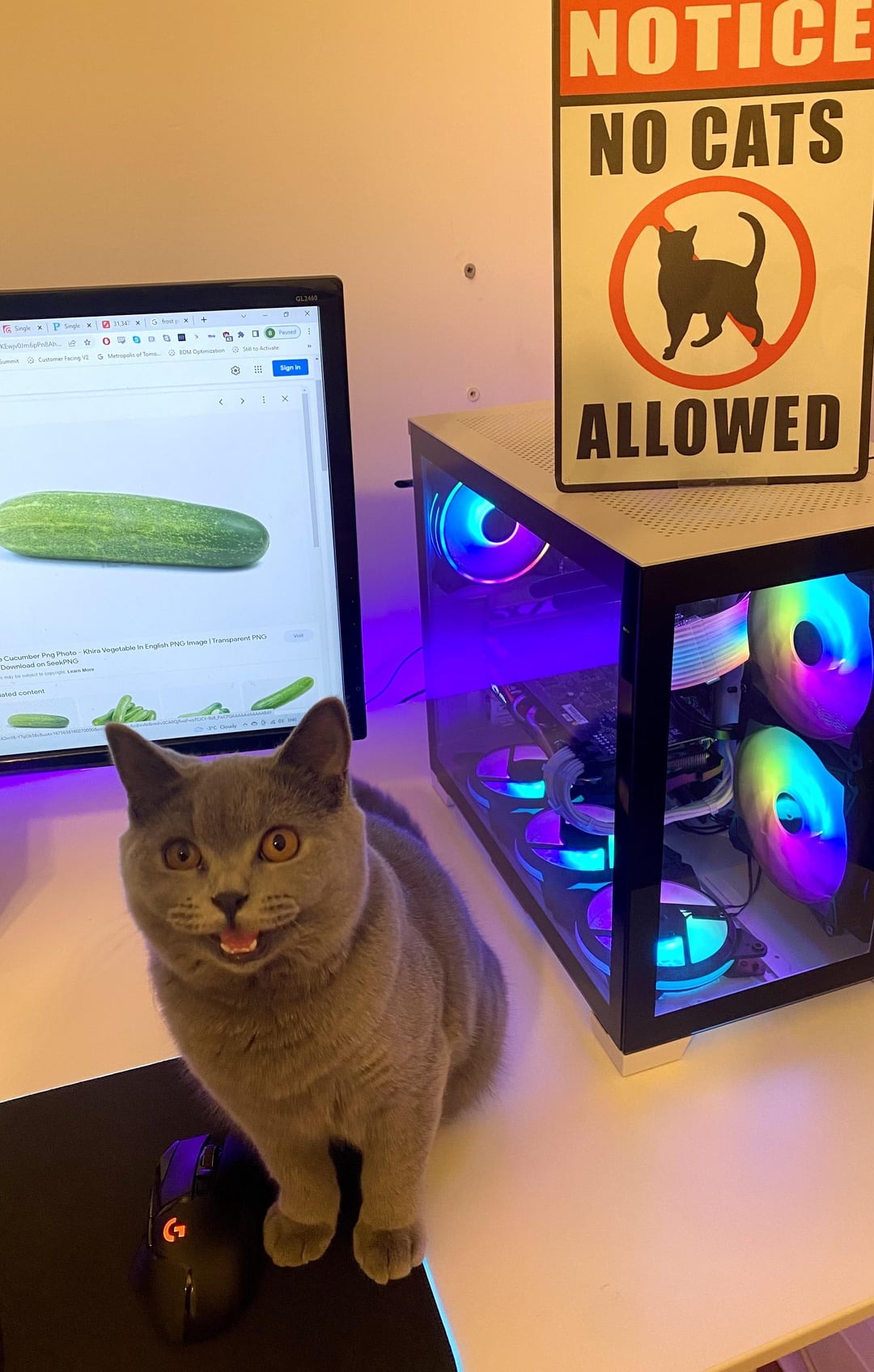 40 Funny And Weird Photos That’ll Make You Say “What Did I Just See?”