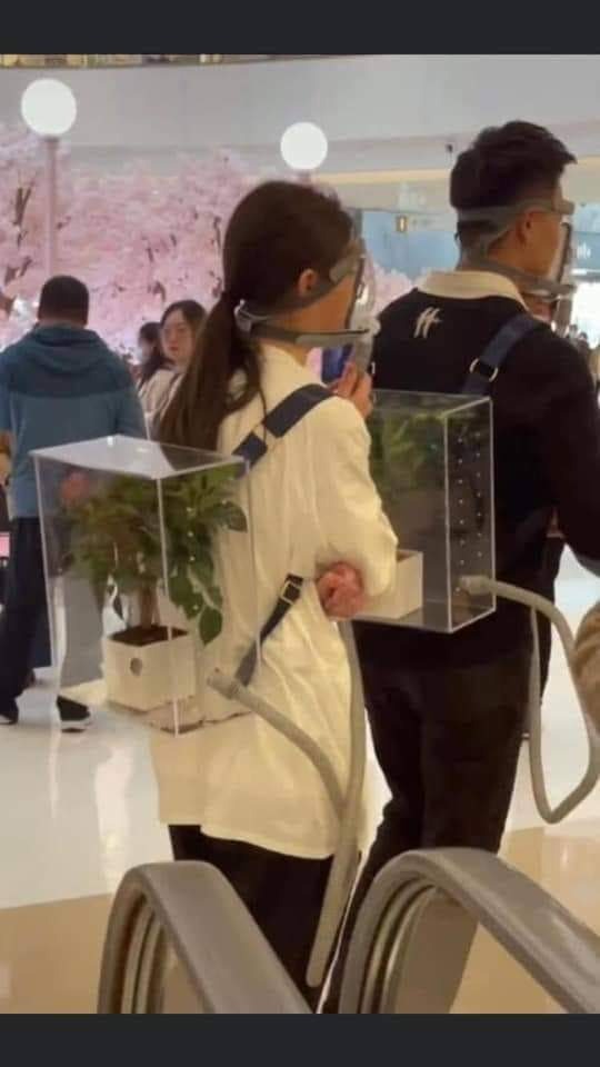 40 Blessed And Cursed Images That Will Make You Laugh And Cry At The Same Time