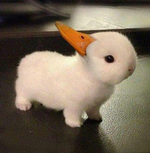 40 Blessed And Cursed Images That Will Make You Laugh And Cry At The Same Time