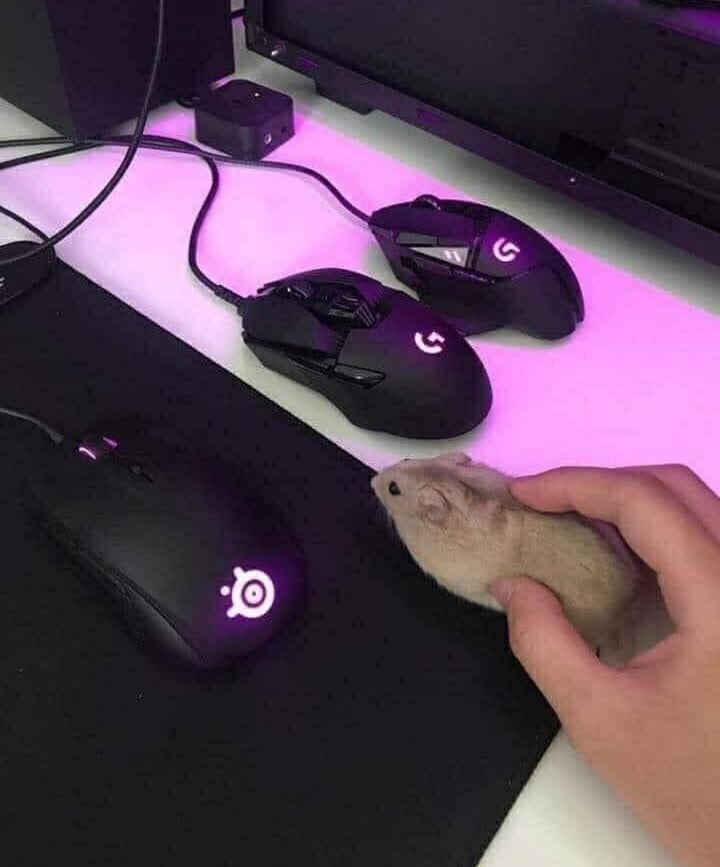 40 Blessed And Cursed Images That Will Make You Laugh And Cry At The Same Time