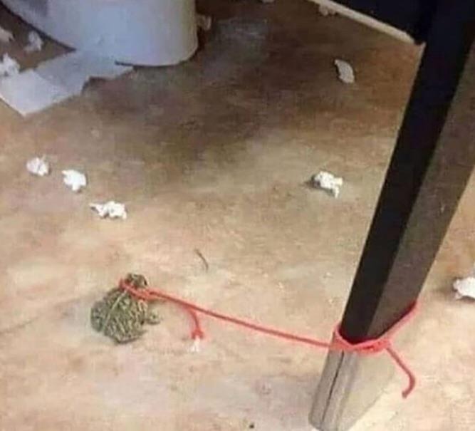 40 Blessed And Cursed Images That Will Make You Laugh And Cry At The Same Time