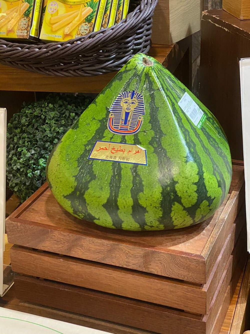 40 Blessed And Cursed Images That Will Make You Laugh And Cry At The Same Time