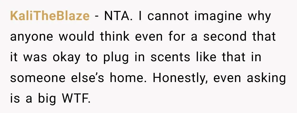 Guest Fills House With Overpowering Scents, Shocked When Host Bans Her From Their House