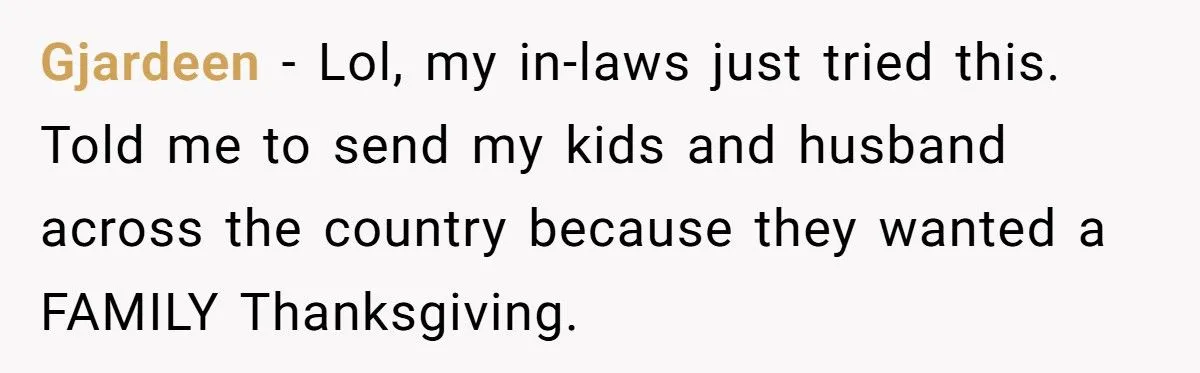 Parents Plan Christmas At Ski Resort, Then Demand Daughter Send Kids Without Disabled Husband