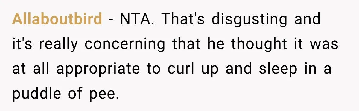 Woman Refuses To Sleep In Boyfriend’s Urine After He Peed The Bed