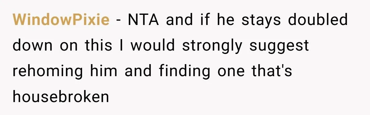 Woman Refuses To Sleep In Boyfriend’s Urine After He Peed The Bed