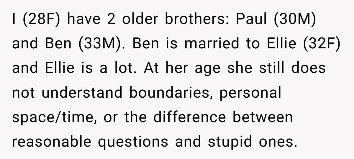 Woman Snaps At SIL Who Keeps Asking A Lot Of Stupid And Annoying Questions Every Time She’s Told No
