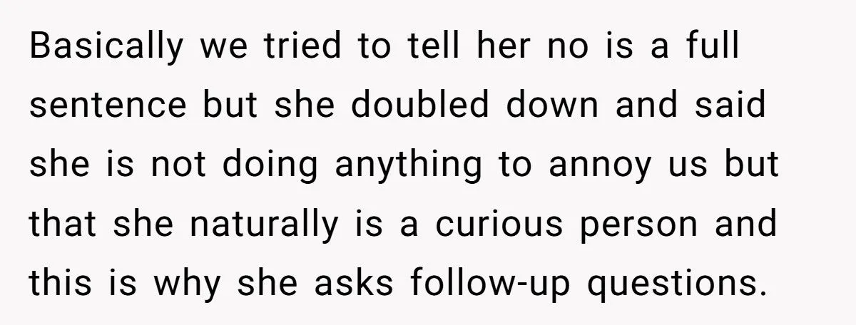 Woman Snaps At SIL Who Keeps Asking A Lot Of Stupid And Annoying Questions Every Time She’s Told No