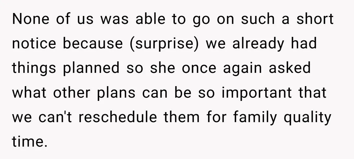 Woman Snaps At SIL Who Keeps Asking A Lot Of Stupid And Annoying Questions Every Time She’s Told No