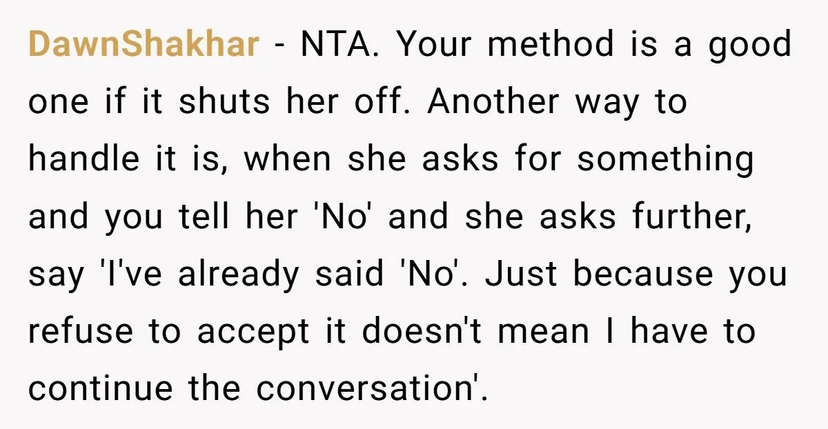 Woman Snaps At SIL Who Keeps Asking A Lot Of Stupid And Annoying Questions Every Time She’s Told No
