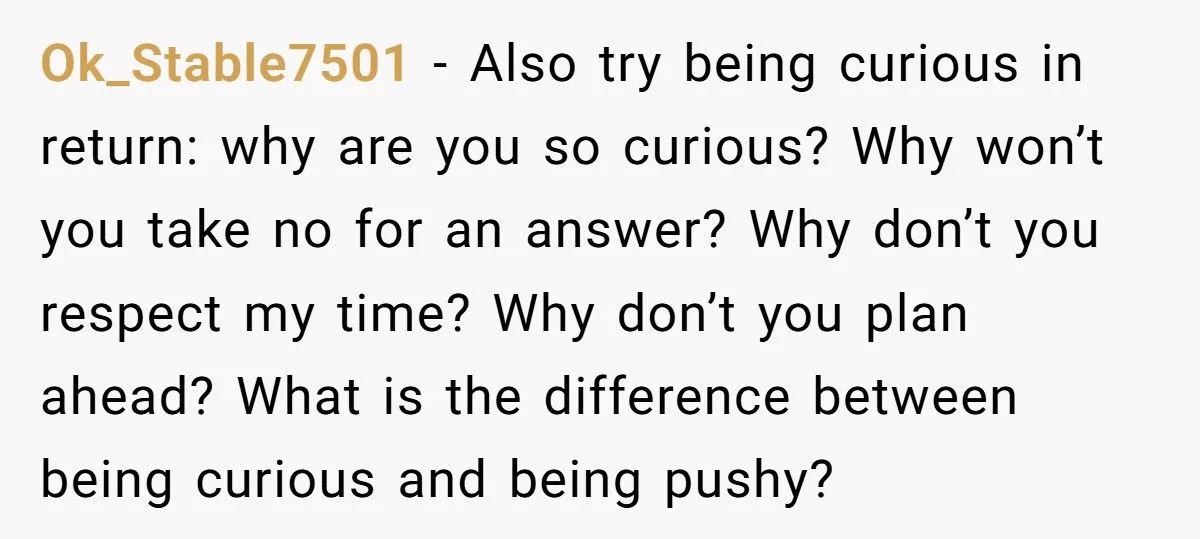 Woman Snaps At SIL Who Keeps Asking A Lot Of Stupid And Annoying Questions Every Time She’s Told No