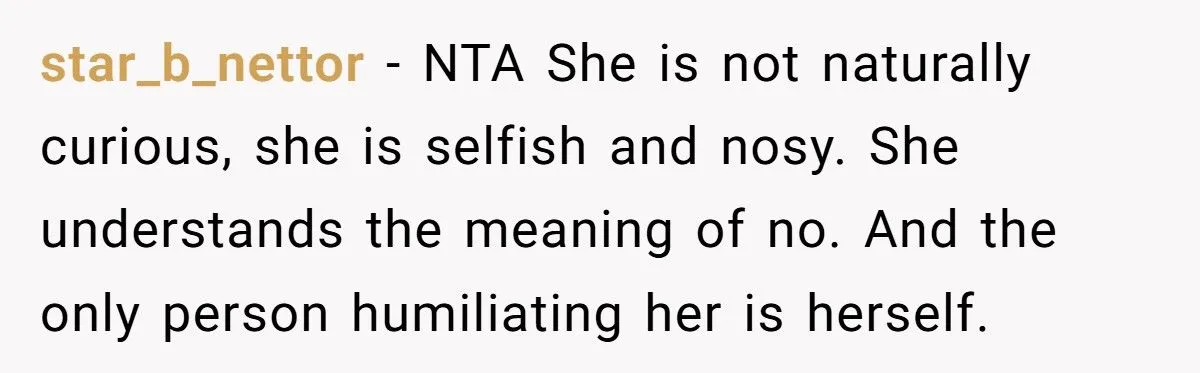 Woman Snaps At SIL Who Keeps Asking A Lot Of Stupid And Annoying Questions Every Time She’s Told No