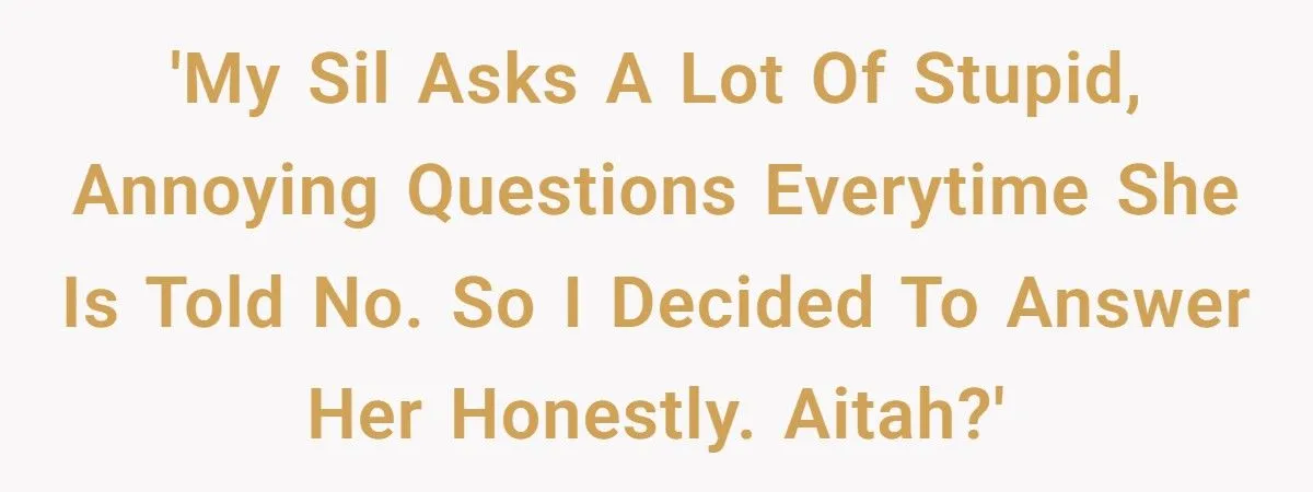 Woman Snaps At SIL Who Keeps Asking A Lot Of Stupid And Annoying Questions Every Time She’s Told No