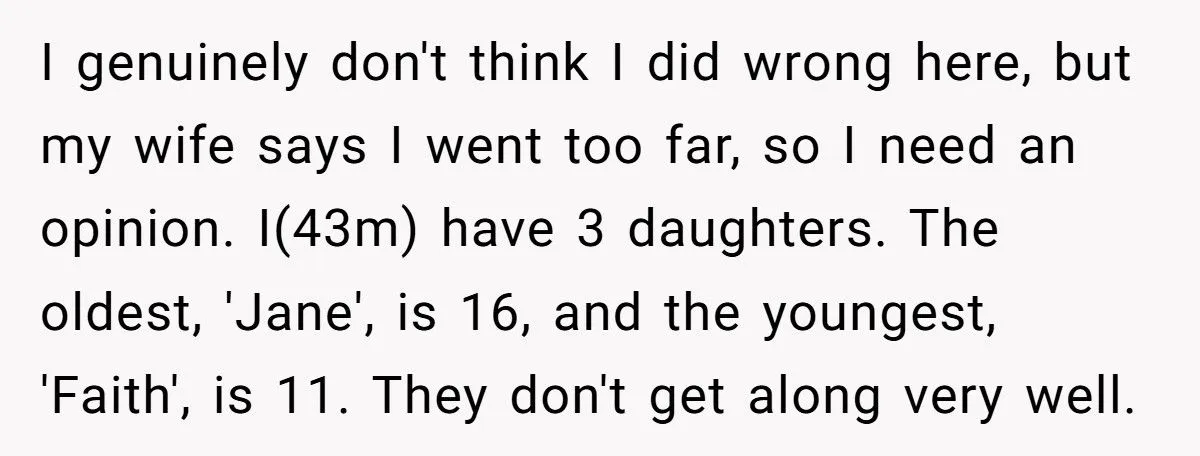 Dad Makes Daughter Trash Her Rock Collection After She Destroys Sister’s Art