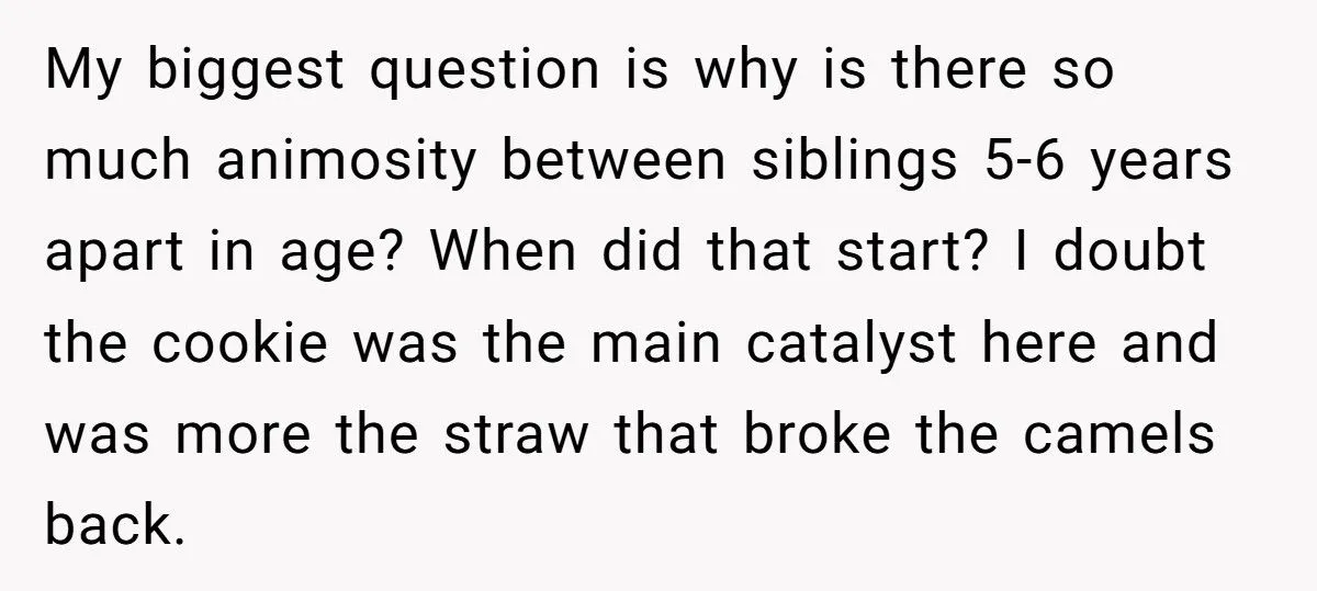 Dad Makes Daughter Trash Her Rock Collection After She Destroys Sister’s Art