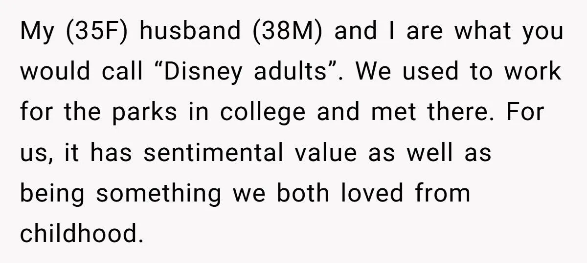 Woman Lets Sister Use Farmhouse For Free Wedding, Gets Told To Pack Away All Disney Items