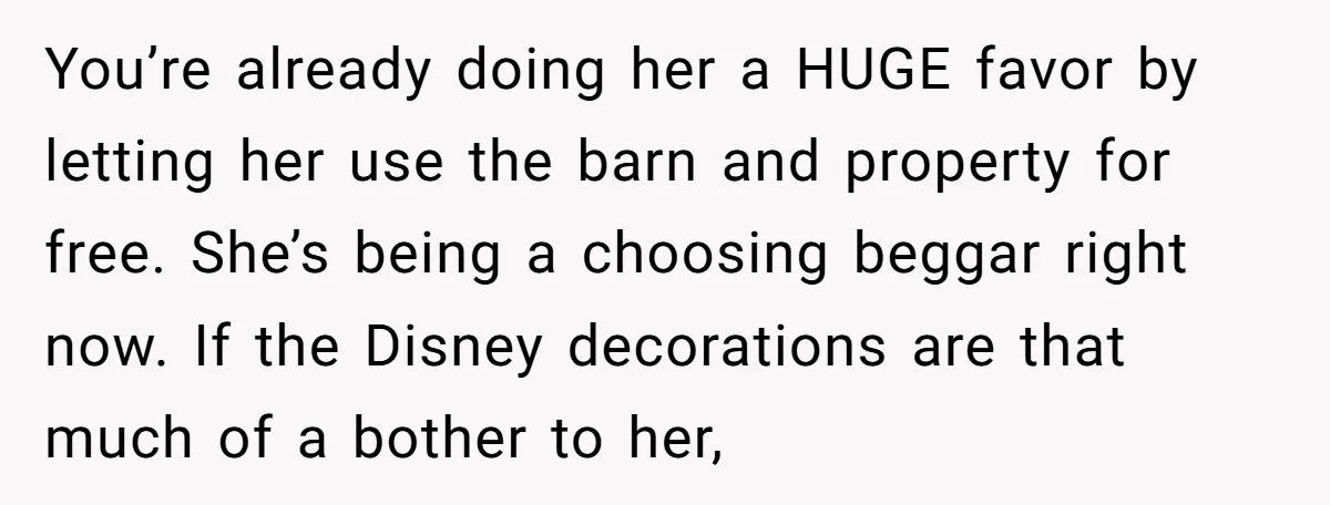 Woman Lets Sister Use Farmhouse For Free Wedding, Gets Told To Pack Away All Disney Items