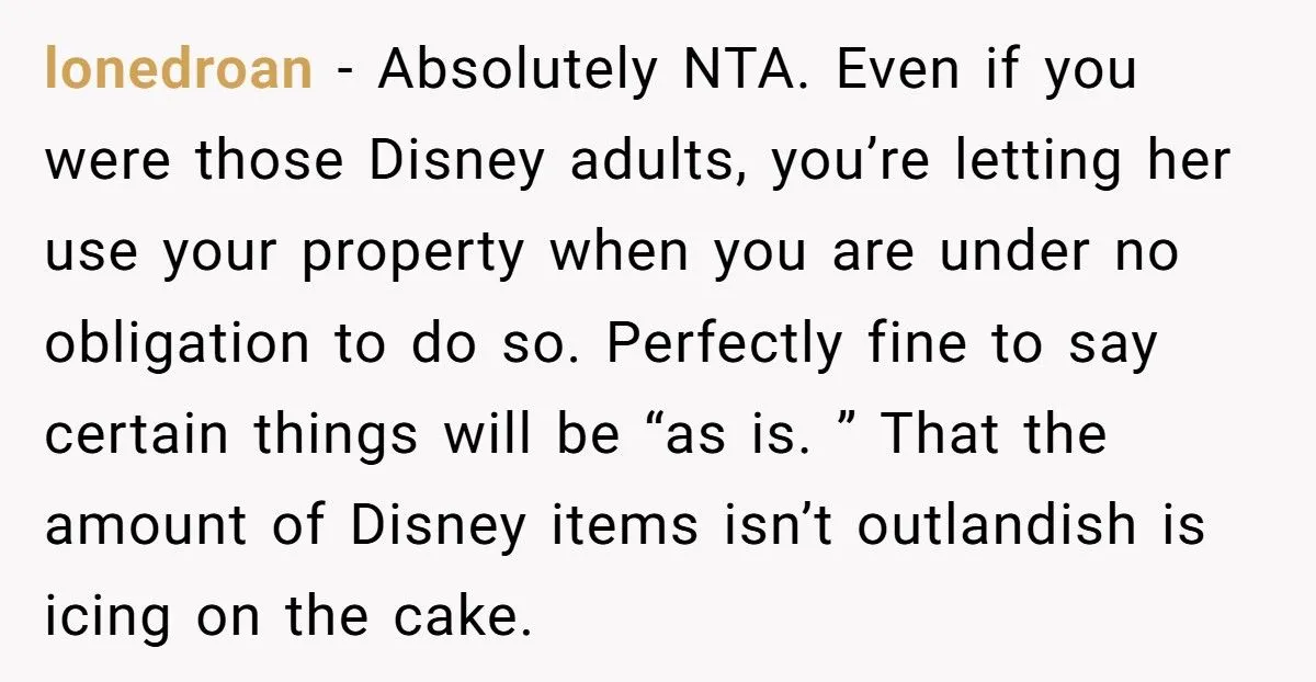 Woman Lets Sister Use Farmhouse For Free Wedding, Gets Told To Pack Away All Disney Items