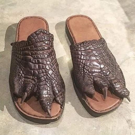 40 Craziest Crocs That Prove Fashion Has No Limits