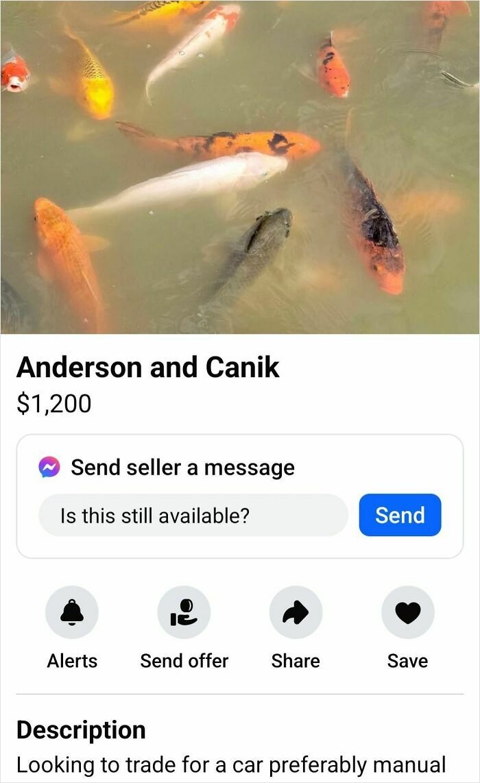 40 Jaw-Droppingly And Utterly Ridiculous Listings From The ‘Idiots Of Facebook Marketplace’ Group