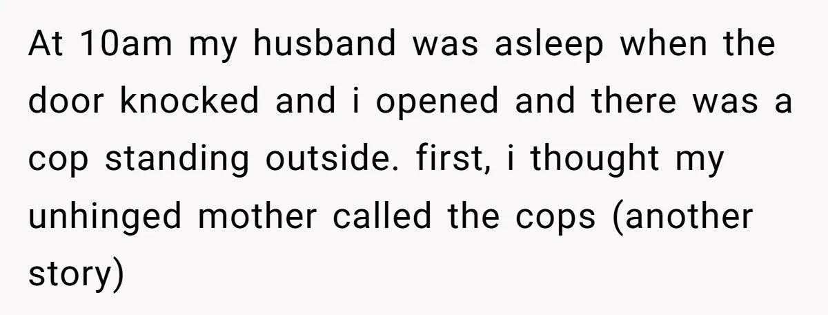 Woman Refuses To Babysit After Brother-In-Law Calls Cops On Her For “Kidnapping” Woman Refuses To Babysit After Brother-In-Law Calls Cops On Her For “Kidnapping”