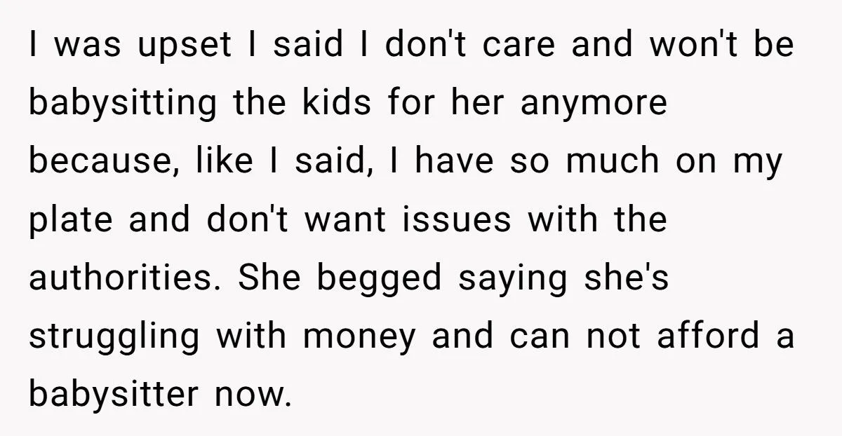 Woman Refuses To Babysit After Brother-In-Law Calls Cops On Her For “Kidnapping” Woman Refuses To Babysit After Brother-In-Law Calls Cops On Her For “Kidnapping”