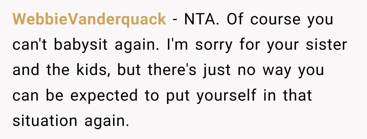 Woman Refuses To Babysit After Brother-In-Law Calls Cops On Her For “Kidnapping” Woman Refuses To Babysit After Brother-In-Law Calls Cops On Her For “Kidnapping”