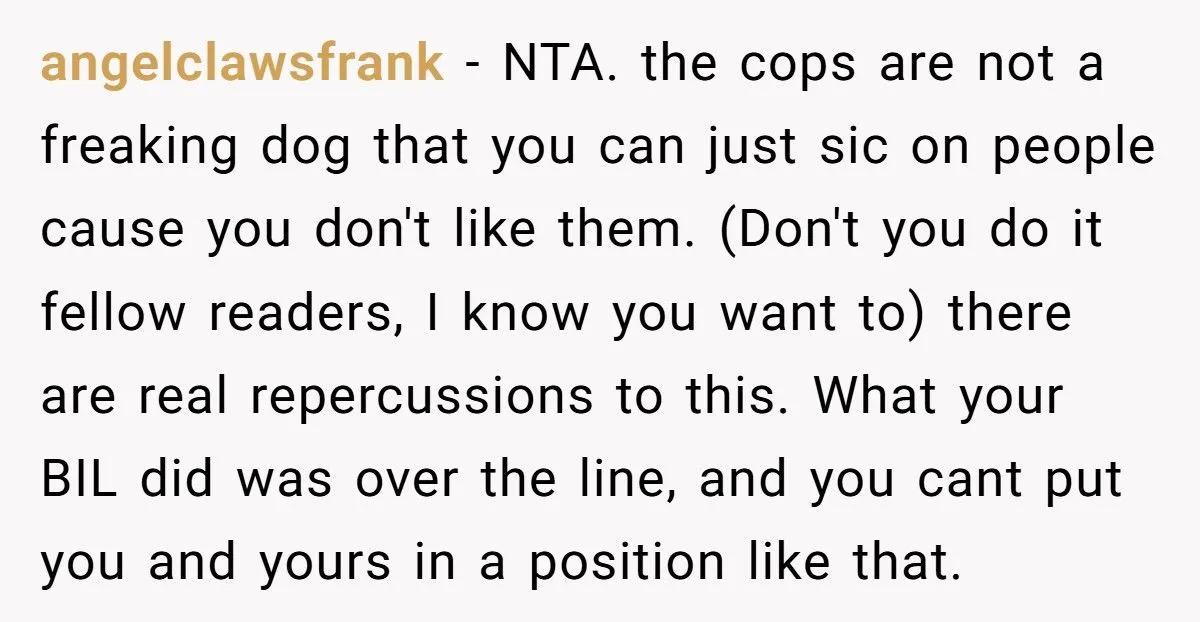 Woman Refuses To Babysit After Brother-In-Law Calls Cops On Her For “Kidnapping” Woman Refuses To Babysit After Brother-In-Law Calls Cops On Her For “Kidnapping”