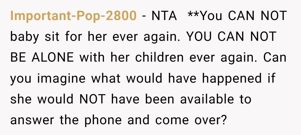 Woman Refuses To Babysit After Brother-In-Law Calls Cops On Her For “Kidnapping” Woman Refuses To Babysit After Brother-In-Law Calls Cops On Her For “Kidnapping”