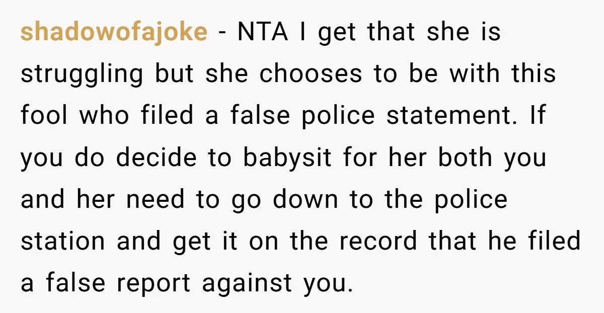 Woman Refuses To Babysit After Brother-In-Law Calls Cops On Her For “Kidnapping” Woman Refuses To Babysit After Brother-In-Law Calls Cops On Her For “Kidnapping”