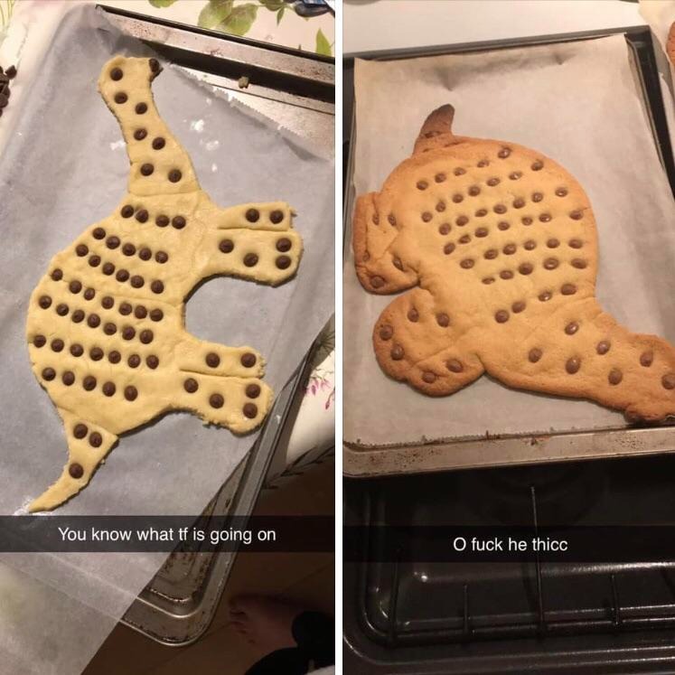 23 Funny Cookie Fails That Prove Baking Is Not For The Weak
