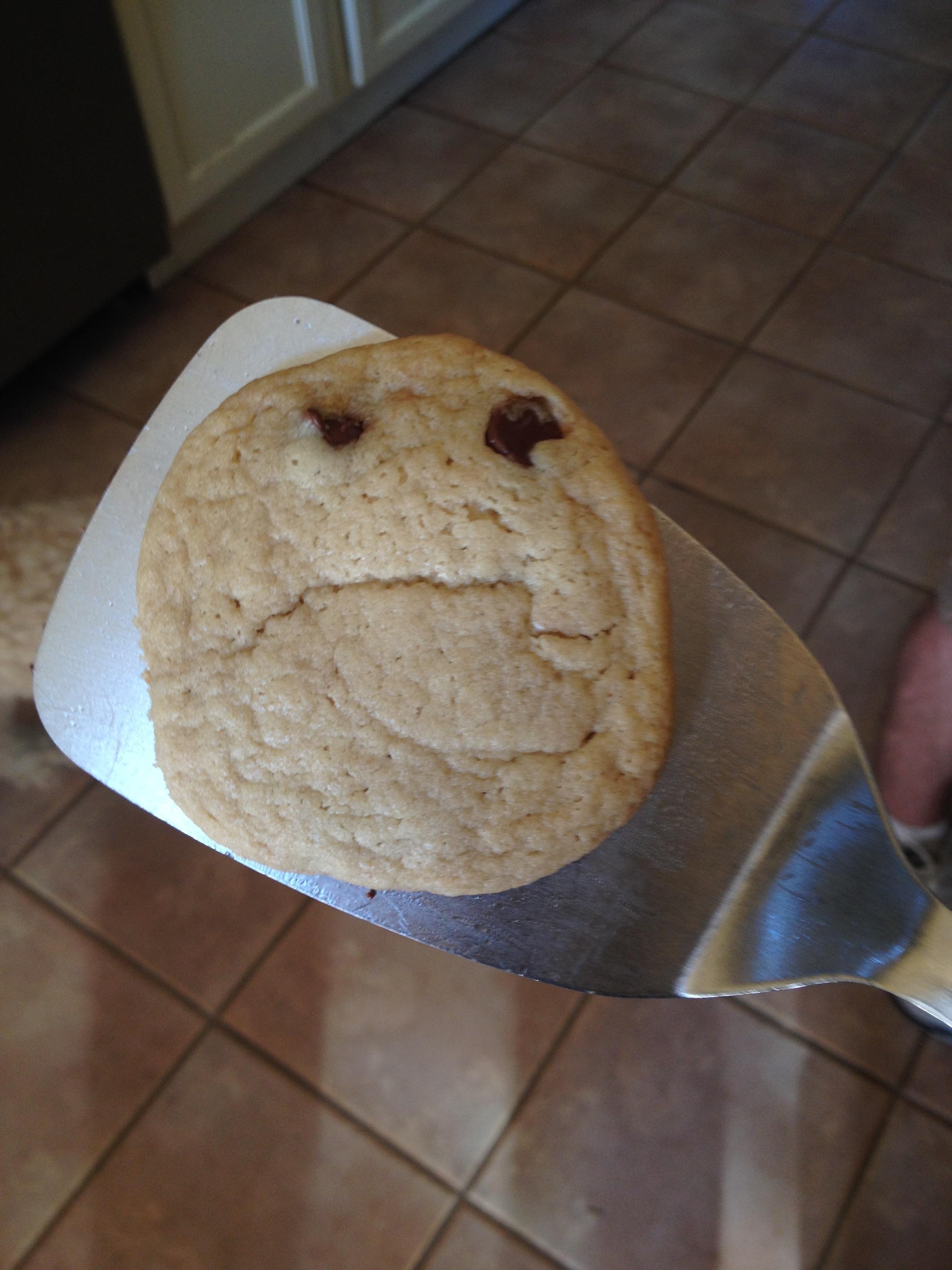 23 Funny Cookie Fails That Prove Baking Is Not For The Weak