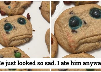 23 Funny Cookie Fails That Prove Baking Is Not For The Weak