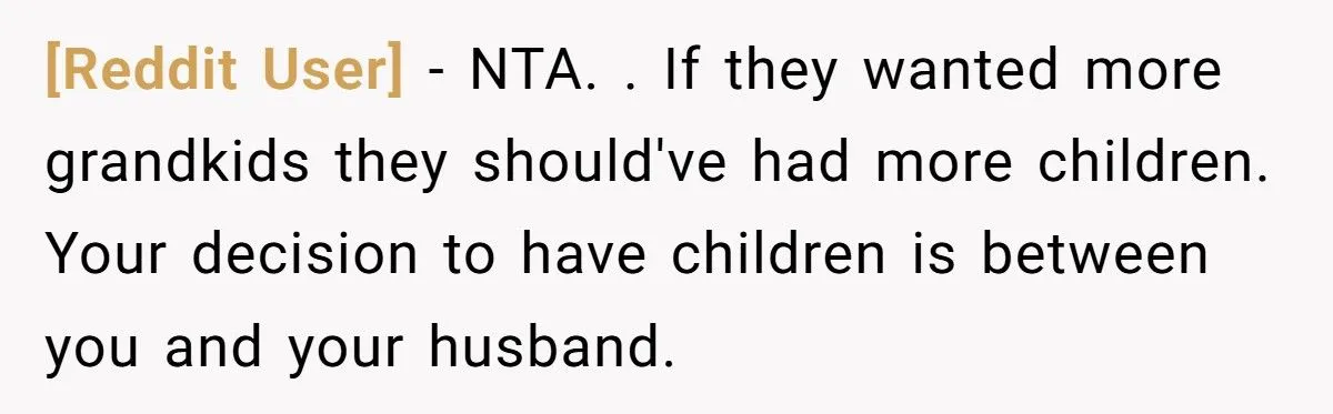 Wife Tells In-Laws They Don’t Deserve More Grandkids After Failing To Support Her With High-Needs Baby