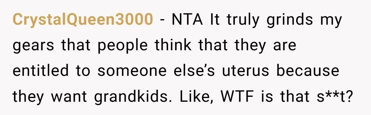 Wife Tells In-Laws They Don’t Deserve More Grandkids After Failing To Support Her With High-Needs Baby