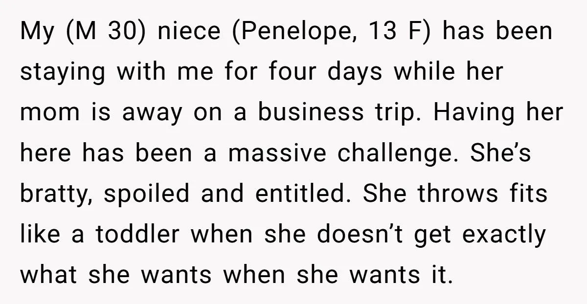 Uncle Refuses To Give Niece Pizza After She Demanded Sushi And Threw His Phone