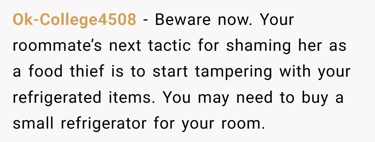 Roommate Furious After Being Busted For Stealing Food, Calls Pantry Lock “Childish”