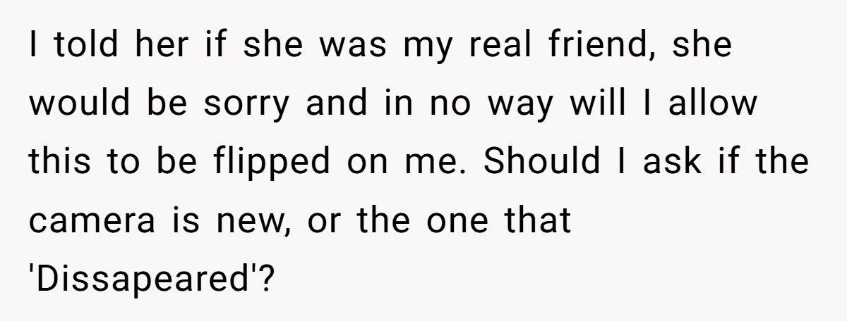 Boyfriend Gets Furious After Girlfriend Covers For Her “Good Friend” Who Stole His $1,800 Camera