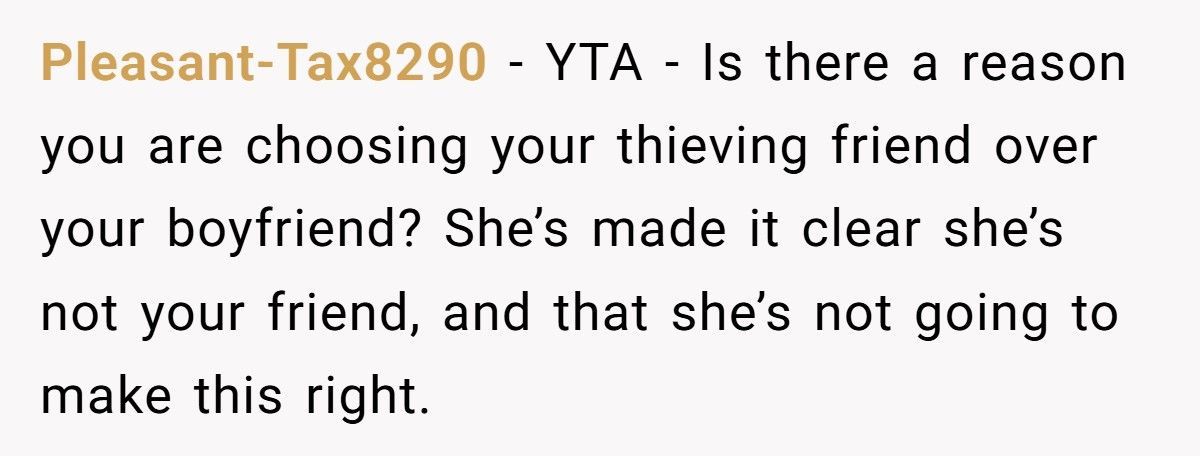 Boyfriend Gets Furious After Girlfriend Covers For Her “Good Friend” Who Stole His $1,800 Camera