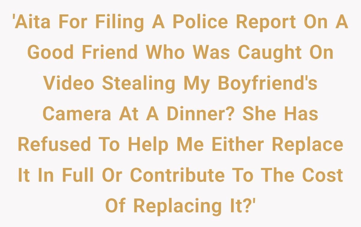 Boyfriend Gets Furious After Girlfriend Covers For Her “Good Friend” Who Stole His $1,800 Camera