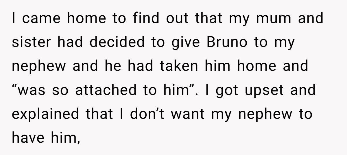 Woman Demands Childhood Teddy Back After Sister Gives It Away To Her Nephew