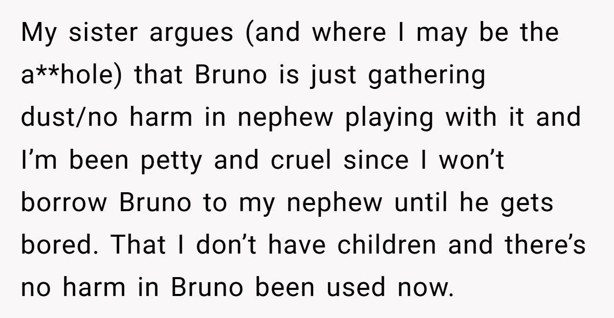 Woman Demands Childhood Teddy Back After Sister Gives It Away To Her Nephew