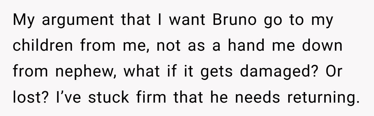 Woman Demands Childhood Teddy Back After Sister Gives It Away To Her Nephew