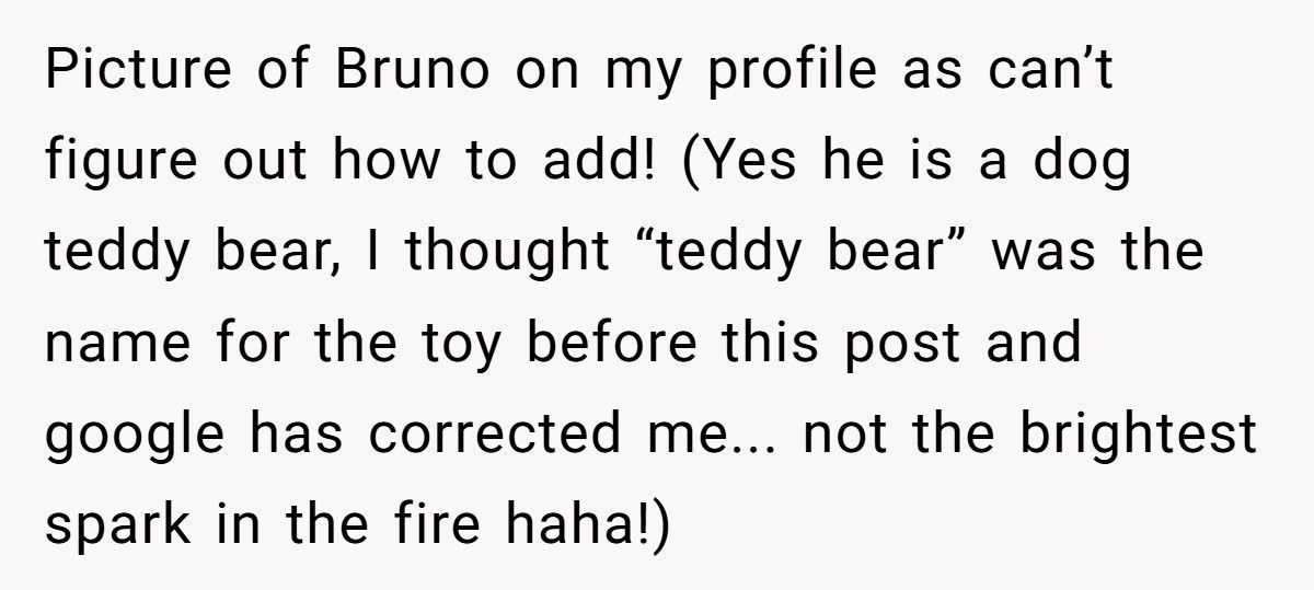 Woman Demands Childhood Teddy Back After Sister Gives It Away To Her Nephew